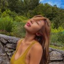 제시 카카오 검색결과