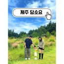 새동네목장 | [제주 담소요] 아기랑 가기 좋은 감성카페, 오리와 정원이 있는 제주 포토스팟,주차