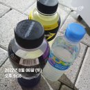 2022 인천 펜타포트 락페스티벌 여자 혼자 토요일 후기 불여우단 사랑해요
