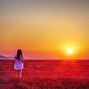 오늘하루 이미지