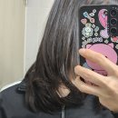 토리헤어 수송점 | 딥레이어클리닉후기 군산미용실 모즈토리수송점