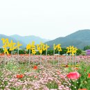 꽃길플랜테리어