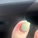 레푸스마곡 이미지