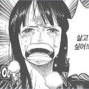 놀숲대전 이미지