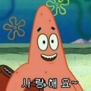 루미노헤어 이미지