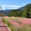 낙단보자전거민박 이미지