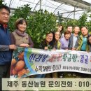 김재관 농장 이미지