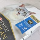 더브로스플랜 | 실내고양이 건식사료 퓨리나 프로플랜 캣 성묘용 후기