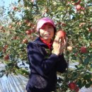 부림농장 이미지