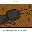 개미약국 이미지