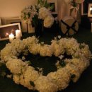 페트코코 이미지