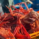 광성홍게장군 이미지