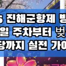 경화벚꽃한의원 | 2026 진해군항제 방문기, 평일 주차부터 벚꽃 명당까지 실전 가이드