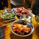 나노갈매기 이미지