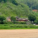 금강펜션 민박 이미지