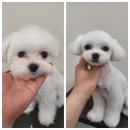 미용타운 이미지