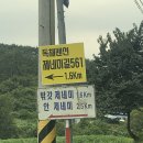 제네미길561