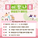 꽃길이어라 이미지