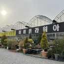 예삐농원 이미지