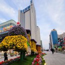 구남로 Daum카페