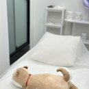 평촌역 왁싱샵 : 안아픈 슈가링왁싱, 평촌 이엘로왁싱 후기