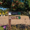 고산윤선도박물관 이미지