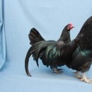 현인농원 이미지