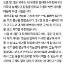 제주 해수욕장 갑질 당사자 사과문 ㄷㄷ 이미지