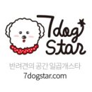 개스타