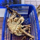 천상대게 배방점 이미지