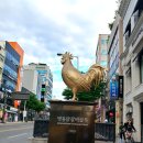 명동산골닭갈비 이미지