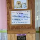 애견동반 식사 가능한 죽암휴게소 서울방향 방문후기
