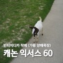 케논목장 이미지