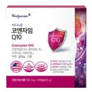 바디스콥 이미지