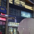 앨리웨이인천 | 고양이 카페 인천 부타캣 앨리웨이 데이트하기 좋은 까페 다녀온 후기