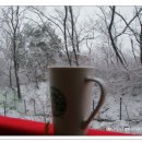 겨울아침창가에서 이미지