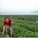 석곡초등학교 이미지