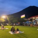 금남멧돼지 이미지