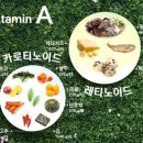 아프로휘트니스 이미지