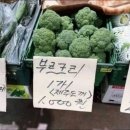 3월(일본, 김윤중 뉴스 데뷔)