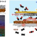 그린P(플라스틱) 이미지