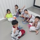 움찬태권도장 이미지