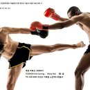 투혼 무에타이 킥복싱 이미지