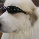 JJ당구장 이미지