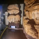 (주)화석자동차 | 설 연휴 가족들과 가볼만한 곳 추천, 남녀노소 만족할만한 '예술정원 1999' 우와 소리만 100번 넘게...