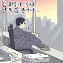 입주팡팡 | 청소잉 입주청소 후기(바쁜 현대인들 추천~)