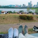 주)울토 | [국내여행] 이제 여름이 시작되나 봐요! 뚝섬유원지에서 나들이 기록