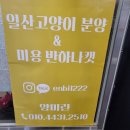일산고양이분양&미용 반하나캣 | 일산고양이분양 반하나캣에서 귀여운 반려묘 만났어요