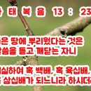 가시로13