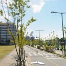 세종시청뒤편 이미지